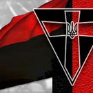 Красно-черный флаг с крестом посередине. В Житомире установят памятник членам ОУН