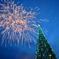 Місто і життя: Дебой зажег в Житомире главную новогоднюю елку. ФОТО. ВИДЕО