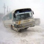 Місто і життя: Междугородние автобусы «Житомир-Киев» превратились в холодильники
