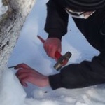 Люди і Суспільство: В Житомирском ботаническом саду активисты забили в деревья стальные гвозди. ВИДЕО