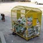 Місто і життя: В течении следующих 4 лет Житомир полностью перейдет на раздельный сбор мусора