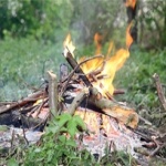 В лесах под Житомиром временно запретили разводить костры и курить