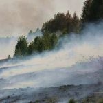 Надзвичайні події: На Житомирщине горят торфяники, леса закрыли для посещения