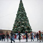 Мистецтво і культура: Главную Новогоднюю елку Житомира зажгут 19 декабря. План празднования новогодних праздников