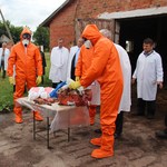 Люди і Суспільство: Житомирская ветеринарная милиция учится противостоять африканской чуме свиней