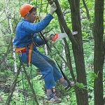 Надзвичайні події: В Житомирском лесничестве во время зачистки деревьев погиб рабочий