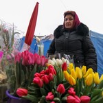 Гроші і Економіка: Обзор цен на цветы в Житомире в преддверии 8 Марта. ФОТО