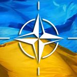 Держава і Політика: Житомиряне проголосовали за проведение референдума о вступлении Украины в НАТО. ФОТО