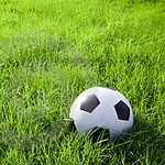 Спорт і Здоров'я: Завтра в Житомире на стадионе «Полесье» состоится матч Чемпионата области по футболу