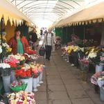 Місто і життя: В Житомире обсудили будущее цветочного рынка на улице Небесной Сотни. ФОТО