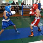 Спорт і Здоров'я: Спортсмен из Житомирщины стал чемпионом Украины по боксу