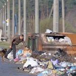 Коммунальщики штрафуют житомирян за несанкционированный выброс мусора. ФОТО