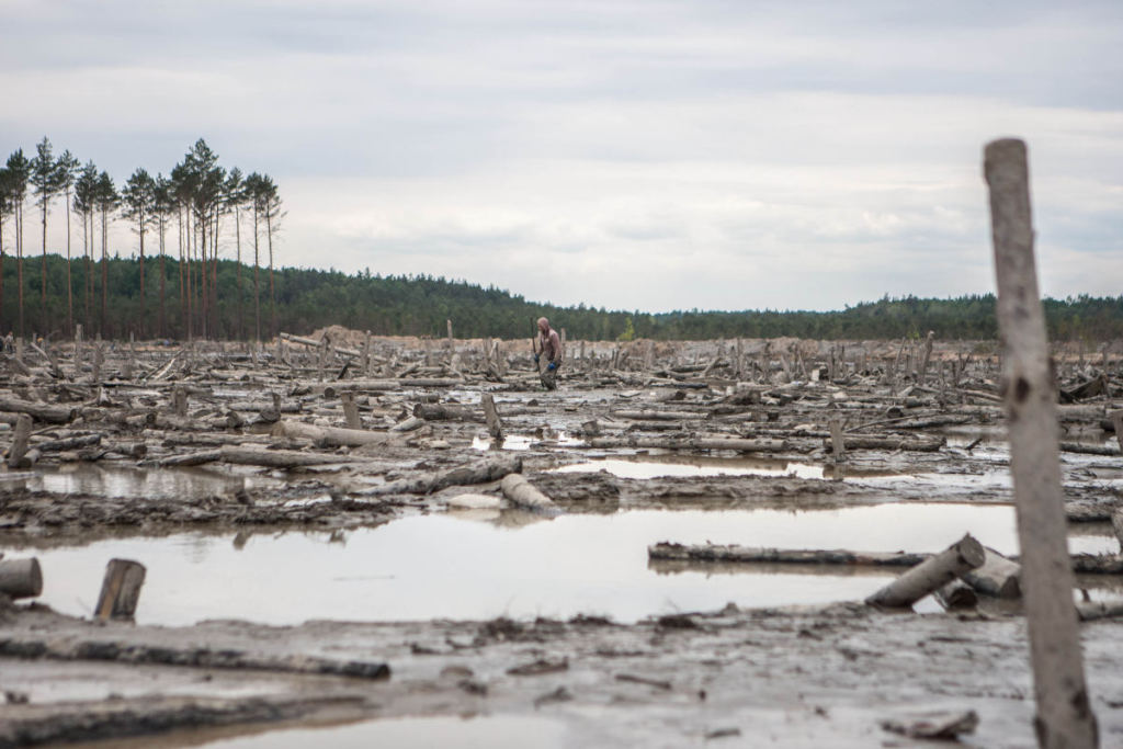 Новини України: Председатель Гослесагентства проверил, насколько уничтожен лес на Житомирщине