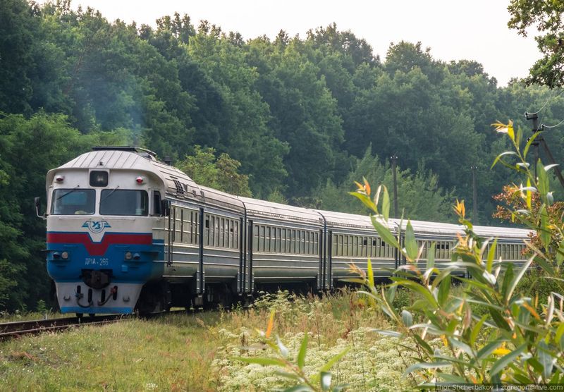 Новини України: Как в Коростене ремонтируют дизельные поезда. ФОТО