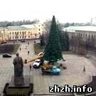 Місто і життя: Сегодня в Житомире начали устанавливать Новогоднюю елку